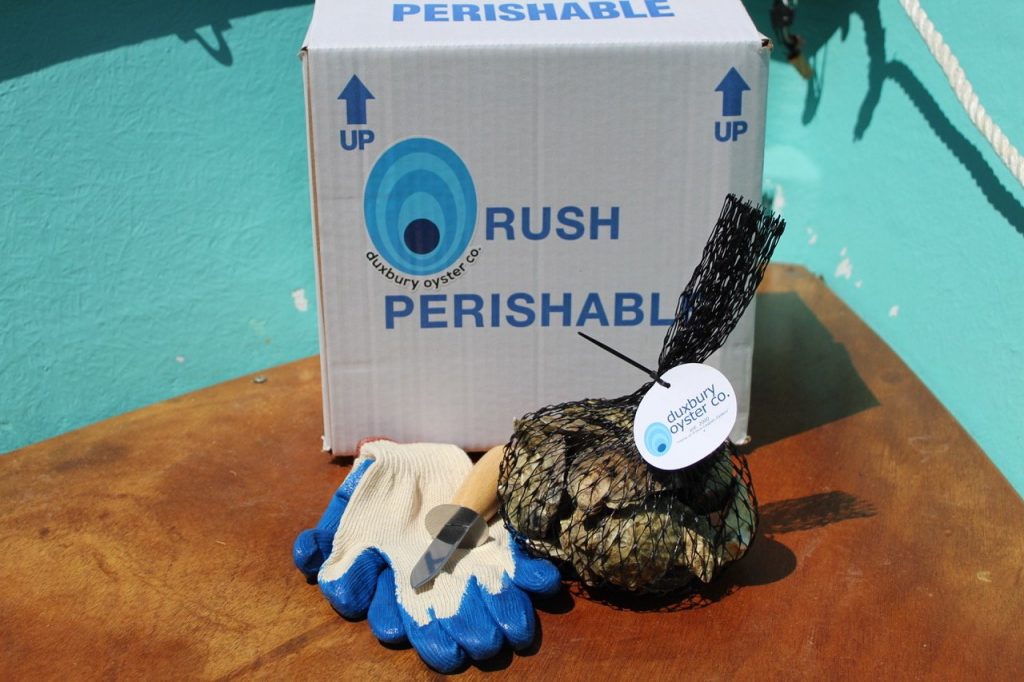 Prince Caspian Oysters Duxbury Oyster Company, Duxbury, MA